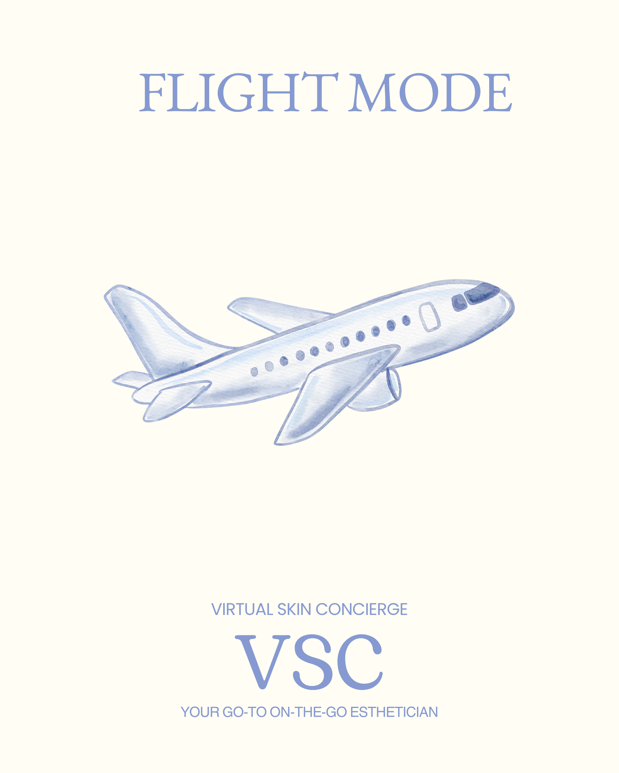 VSC Flight Mode Concierge (Travel care)
